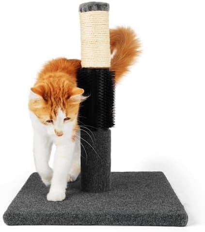 review EveryYay Colorful Cat Scratch Post, 19