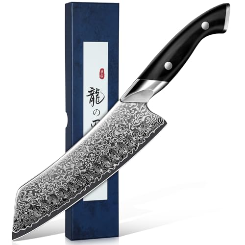 DRAGON RIOT Damastmesser, Japanisches Fleischmesser extrem scharf, Handgeschmiedete Kochmesser profi Messer, Damast Küchenmesser mit Geschenkbox