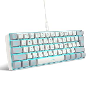 Snpurdiri 60% Wired Gaming Keyboard, 61 Keys RGB Backlit Small Gaming Keyboard for PC/Mac Gamer, Typist, Travel, Easy to Carry on Business Trip(Grey-White)