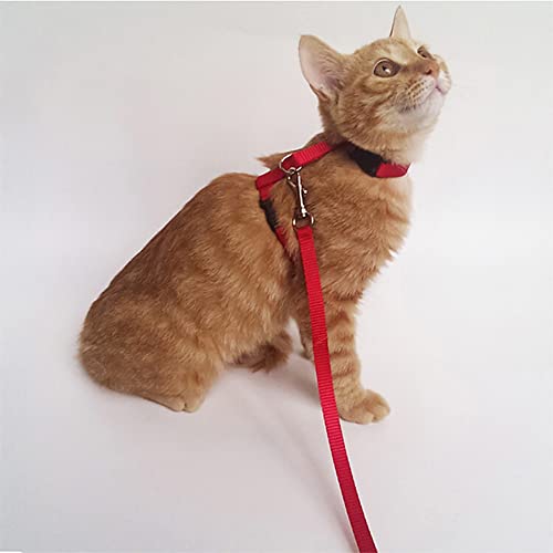 Image of 2 Pcs Adjustable Bunny Rabbit Harness with Leash, Cat, Hamster, Red and Blue, Size 18-26cm (neck), 20-35cm (bust), Playful /Whimsical Style, Multi-species Fitting