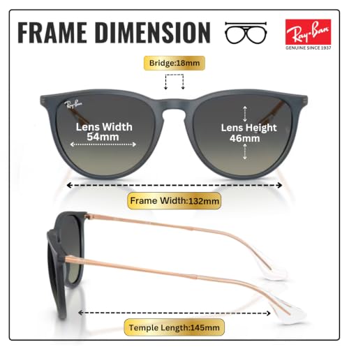 Image of Ray-Ban RB4171 ERIKA CLASSIC Phantos Shaped Sunglasses for Women with Official RAYBAN Eyewear Kit
