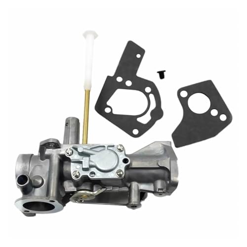 Carburateur Briggs Stratton 5hp pour entretien de motoculteur