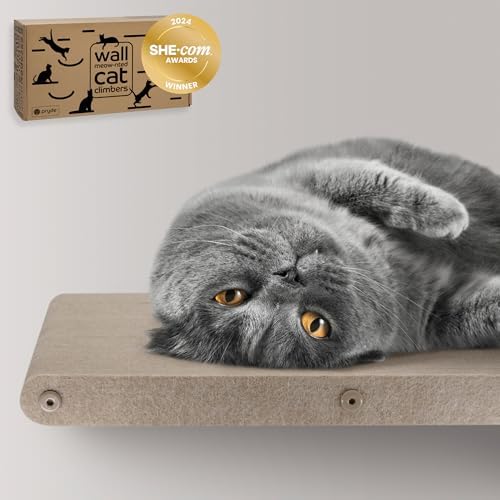 Wall Mounted Cat Perch Long Shelf by Pryde Pets - Floating Hammoc...