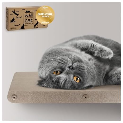 Eco-Friendly Wall Mounted Cat Perch