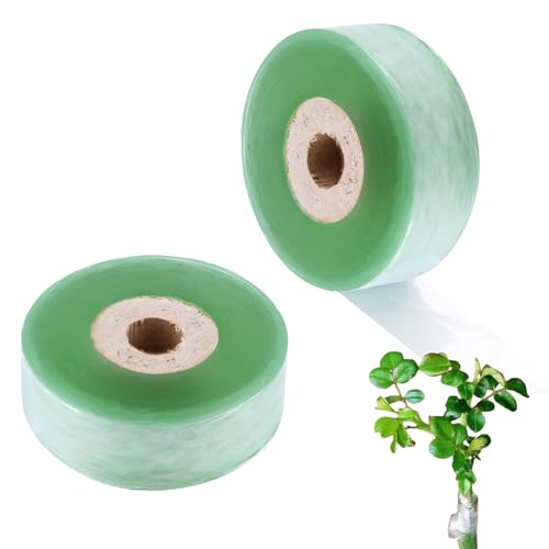 KDSSYFT �ڂ��؃e�[�v 2���� �K�[�f�j���O�e�[�v �O���t�g�e�[�v ���| �ڐA �ږ� �A���C�� �~�� �ʎ� (��2cm)