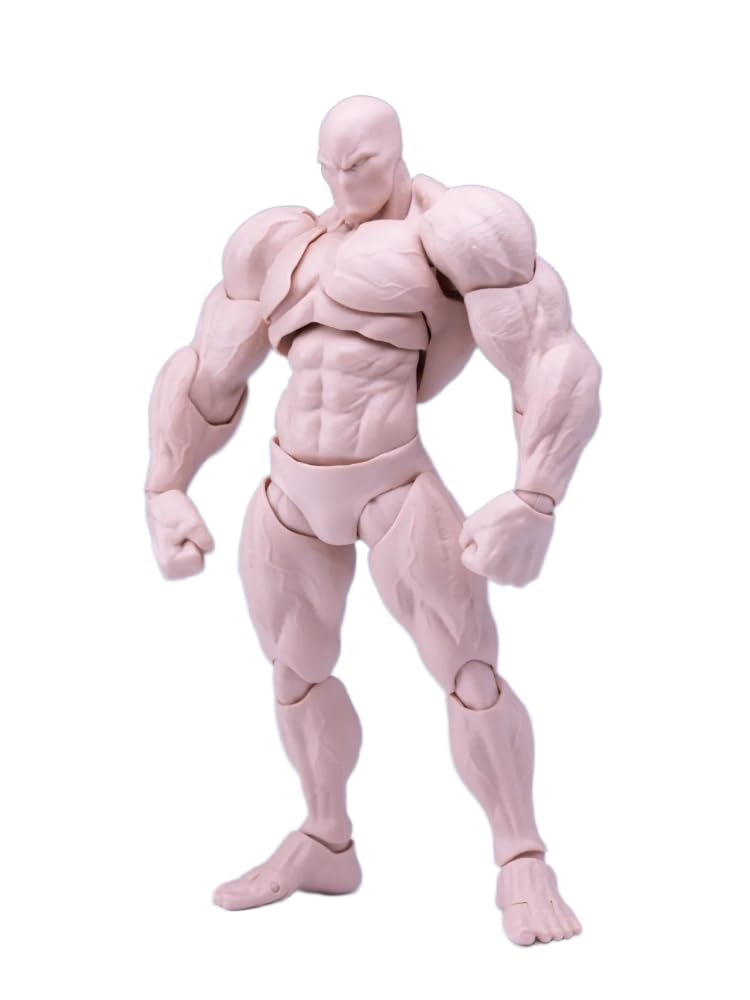 Amazon.co.jp: LEBOO Romankey 1/12 超可動 男性 素体 フィギュア