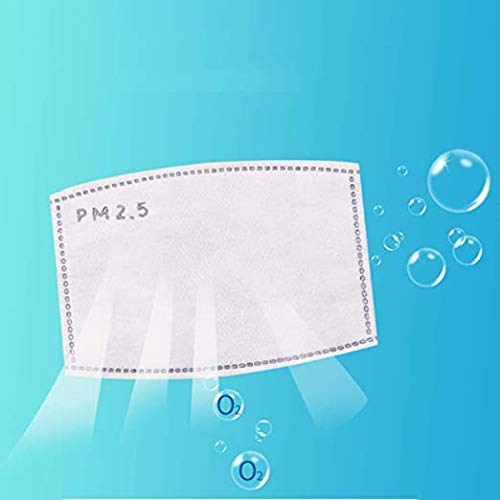 10 Pcs Adults Size PM 2.5 Filters Activated Carbon Filter Replaceable Anti Haze Filter Paper for Children and Adults【5 Layers】-【USA in Stock】 (10 Pcs Adults Filter)