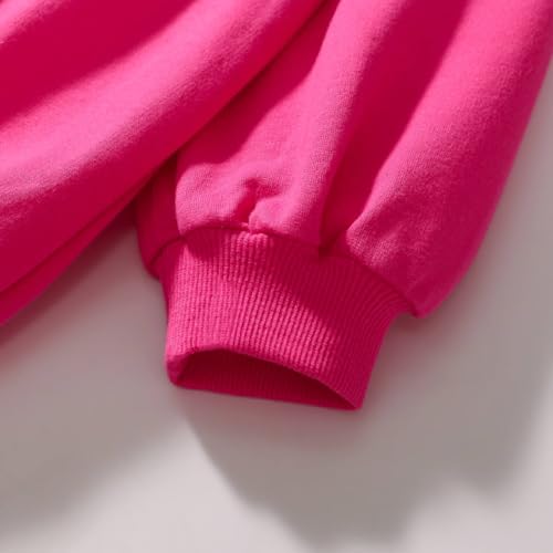 Image of HILEELANG Toddler Girl Fall Outfits Clothing Pants Set Sweatshirt Cotton Strench Leggings Playwear Sets 2pc