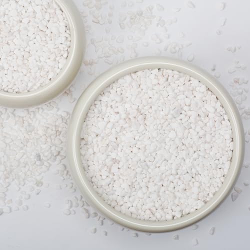 Image of 5lbs Natural Gravel Pebbles for Succulents and Cacti, 1 /5 Inch Decorative River Stones - Perfect for Vases, Aquariums, Terrariums, and Outdoor Gardening, Mixed Colors (White, 20 Pounds)