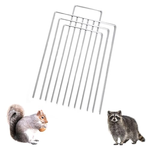 Trap Cage Divider Stainless Steel Divider for 10