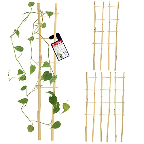KADAX Bambusleiter, 5er Set, Stützleiter für Blumen, Garten-Pflanzenstütze aus Bambusholz, Blumengitter, Rankhilfe, Gitterspalier V-Form, Kletterhilfe (H:38cm, doppelt)
