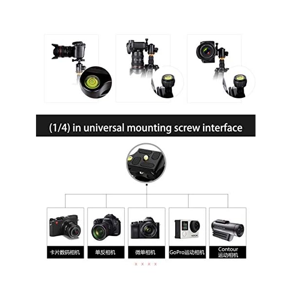 LLluckyHW Professionelle Fotostative und Einbeinstative, Universal Outdoor-Fotografie Halterungen, unterstützt mehrere… – Bild 8