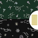 Geschenkpapier Nerds Geeks Physik Chemie Formeln Kreide Tafel Look - aussergewöhnlich doppelseitig 5x Bogen 42x59cm gefaltet 30x Klebepunkte Geburtstag Premium nachhaltig