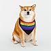 Same Love Same Rights LGBTQ Pride Flag Pet Scarf Washable Adjustable for Dogs Cat Pet
