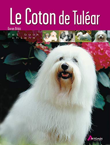  COTON DE TULEAR Gratuit