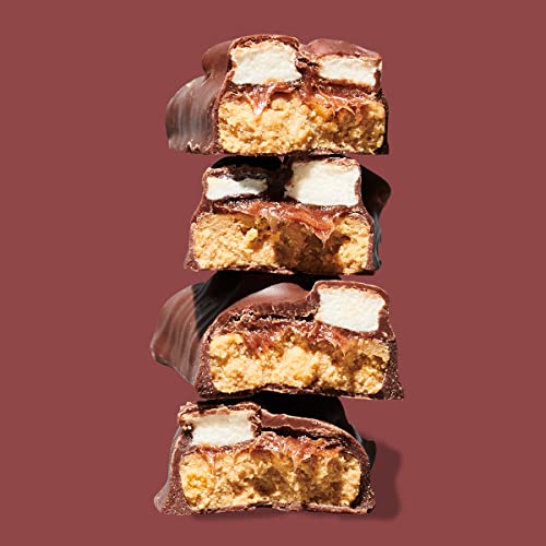 Misfits Vegan Protein Bar, S'mores Bar, Plant Based Chocolate Protein Bars, High Protein Snacks With 15G Per Bar, Low Sugar, Low Carb, Gluten Free, Dairy Free, High Fiber, Non Gmo, S'mores Flavor 12 Pack #TOP5