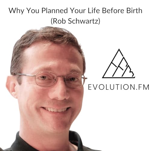 Why You Planned Your Life Before Birth (Rob Schwartz) cover art
