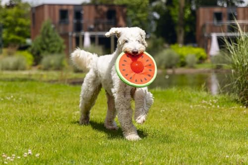 Karlie 2in1 Frisbee Melone mit Noppenball - 25 cm