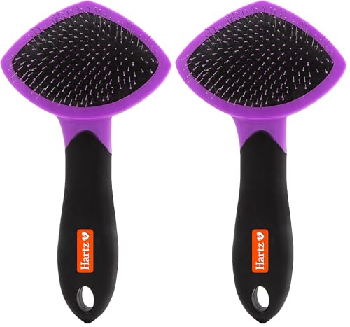 HARTZ, Groomer's Best Small Slicker Brush for Cats and Small Dogs, Black/Violet, 1 Count (Pack of 2)
