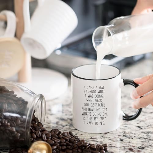 Gelid SENIORCITIZEN-MUGS I Came I Saw I Forgot What I Was Doing Coffee Mug - Funny Senior Citizens Sarcastic Gifts Old People Elderly Mom Dad Grandma Grandpa - Presents Mothers Day Fathers Day Birthday - 11 Oz Novelty Cup thumb #1