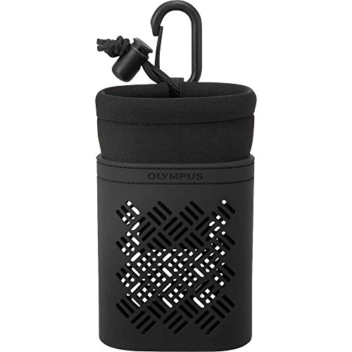 Olympus Smartglass Protective Eyewear EI-Og1