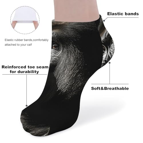 5 Pairs of Cotton Ankle Socks for Women Men An Adult Gorilla Low Cut Socks for Running Hiking No Show Athletic Sock3