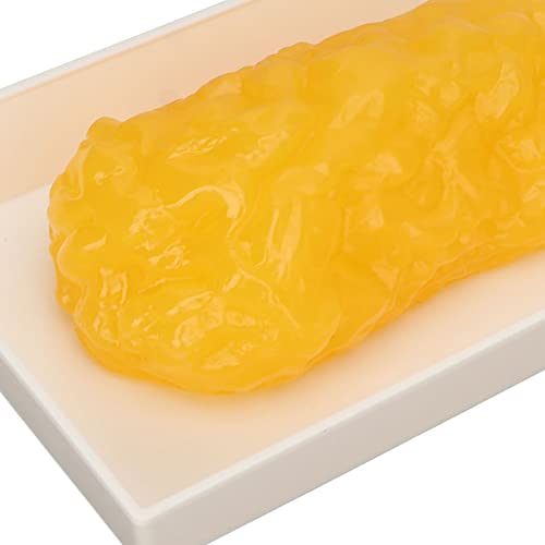 Image of Fat Replica 1lb,Human Body Fat Replica Fat Model,Human Fatty Tissue Demonstration Model for Nutritionist Science Course,Accurate Feel and Appearance of 1 Pound of Fat