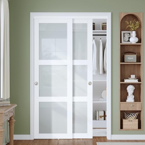 48x80 in Preassembled Frosted Glass Door
