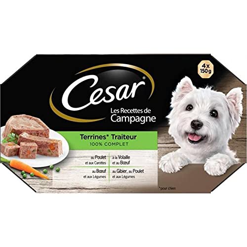 Cesar Chiens Cesar Recetas de Terrinas de Casa de Campo 100% Completo 150G Para 4 (de 4 lotes o 16 cajas) 1