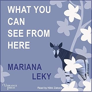 What You Can See from Here Audiolibro Por Mariana Leky arte de portada
