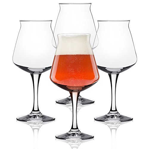 Nucleated Teku 3.0 Beer Glass by Rastal - Nucleation Pint Glasses for Better
