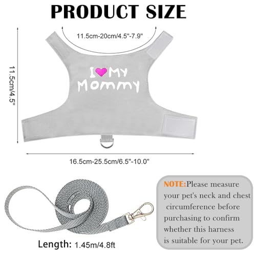 Image of Bearded Dragon Leash and Harness, Adjustable Lizard Reptiles Harness Clothes with 4.76ft Leash, Small Pets Harness and Leash Set for Lizards Ferrets Hamsters Walking Training Outdoor