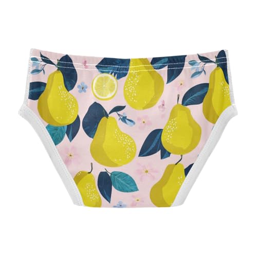 Wusikd Pear Leaf Boys' Underwear Cotton Boys Briefs Soft Toddler Underwear 2T2