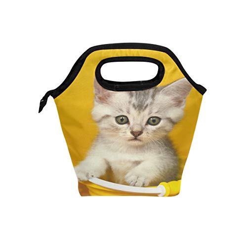 GORIRAiSj`obO ۗ ۉ ٓobO e   L 킢 ٓ q `В  A~ t@Xi[t w ʋ Ή