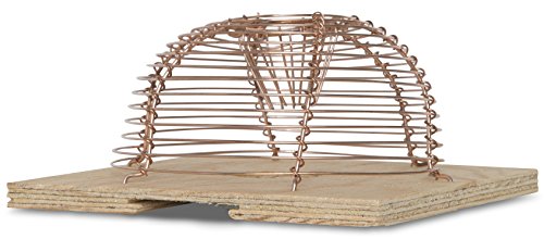 Preisvergleich Produktbild Windhager 05330 Korb-Mausefalle