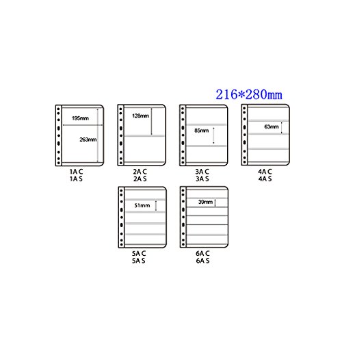 10 peças/Pacote de Álbum de Moedas para Moedas Coleção de Moedas - 5 Linhas