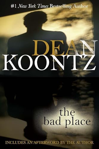 The Bad Place view 2