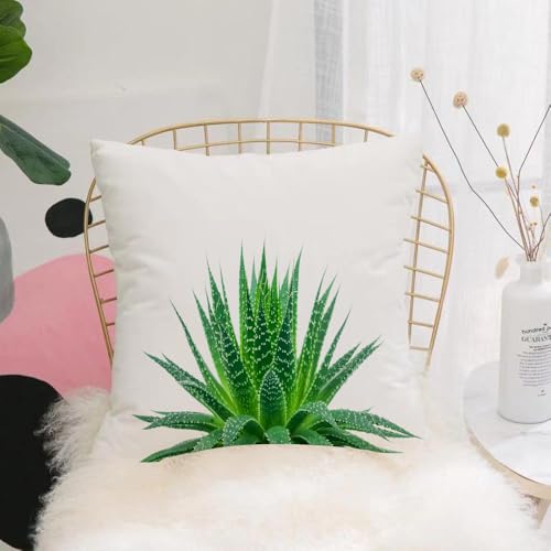 HYOSXW Fundas Cojines 40x40 cm,Planta, Aloe Vera con Colores Brillantes Especies autóctonas Remedios Naturales alterna,Funda de Almohada 100% algodón Cojines Decorativos para Sofá Cama Hogar Exterior