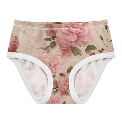 Vintage Rose Pink Toddler Girls Panties, Kids Underwear, 2T–8 Years