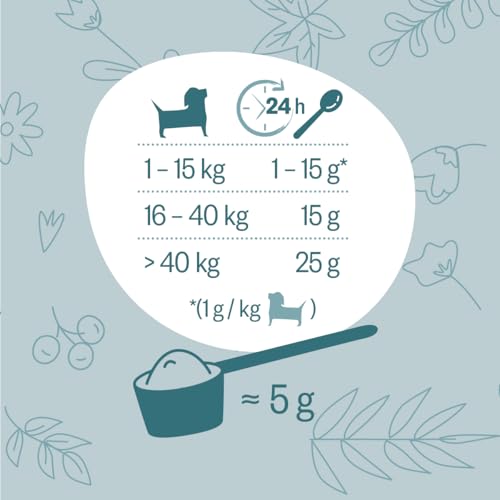 GRAU - das Original - Hokamix Vitality Booster, 1er Pack (1 x 150 g), Ergänzungsfuttermittel für Hunde