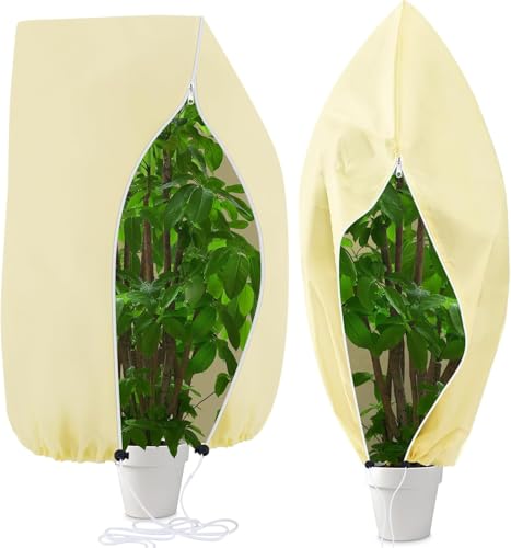 Winterschutz für Pflanzen 200x240cm, 2 Pcs Überwinterungszelt für Kübelpflanzen, Pflanzenschutz Winter mit Reißverschluss und Zugband, Wintervlies für Pflanzen Frostschutz, Reißfest und Atmungsaktiv