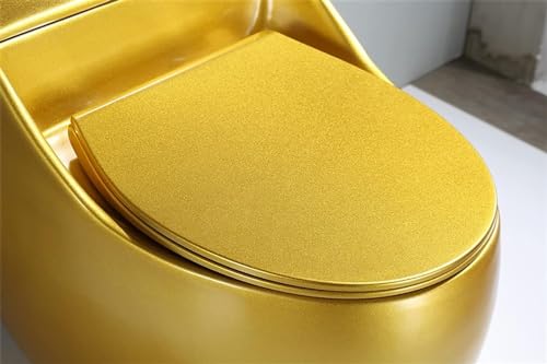 Inodoro One Piece Doble Descarga con Asiento de Cierre Suave, Altura Universal Moderna para Confort, Inodoro Cerámico Sifónico Dorado Silencioso para Baño en Casa y Hotel, A-66x43x55cm miniatura 5