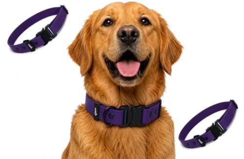 Image of Adil's Biothane Waterproof Dog Collar, Dog Leash & Collar Leash Combo | Heavy Duty TPU Coated Webbing | Adjustable Quick Release Buckle | Odour Resistant (Purple, L-22, Collar Only)