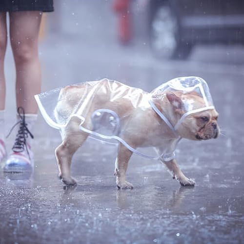 Syiyunran Regenjacken Hund Wasserdicht - White Trim, 1pc, Dog Raincoat für Hunde Mit Einem Gewicht Von 3,5-4,5kg, Regenjacken für Hunde Einfach zu Tragen, Winddicht und Regenfest Regencape