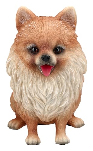 Figuren Shop GmbH Zwergspitz Pomeranian Welpe – Handbemalte Hundefigur aus Polyresin, 14,5 cm Höhe