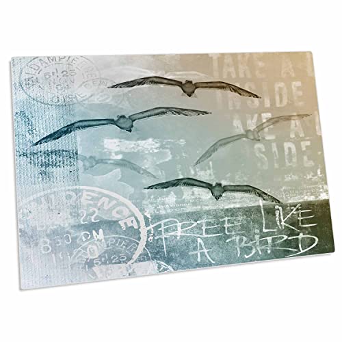 3dRose Sea Gull Illustration Desk Pad 23x16 pulgadas