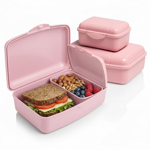 Hausfelder Brotdose Set Erwachsene – 4er Lunchbox Set rosa mit 2 großen (18x14x6,5 cm) & 2 kleinen (12x8x5,5 cm) Dosen, stapelbar, spülmaschinenfest, BPAfrei, ideal für Schule, Büro & unterwegs