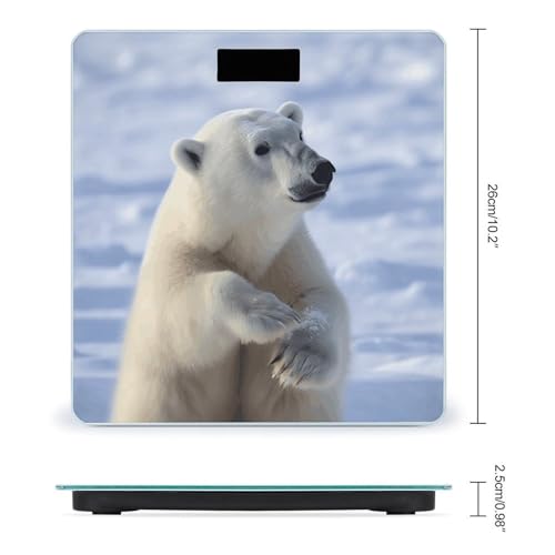 Báscula digital corporal Polar Bear con pantalla LCD grande miniatura 2