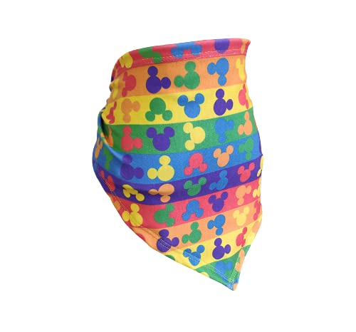 Fábrica Pet BANDANA RAINBOW DISNEY M, Colorido