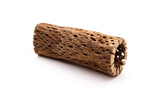Image of 3 to 48 Inch All Natural Teddy Bear Cholla Wood Extra Hollow Large Untreated Organic Aquarium Driftwood Decoration Chew Toy Shrimp Crab Multi-Quantity